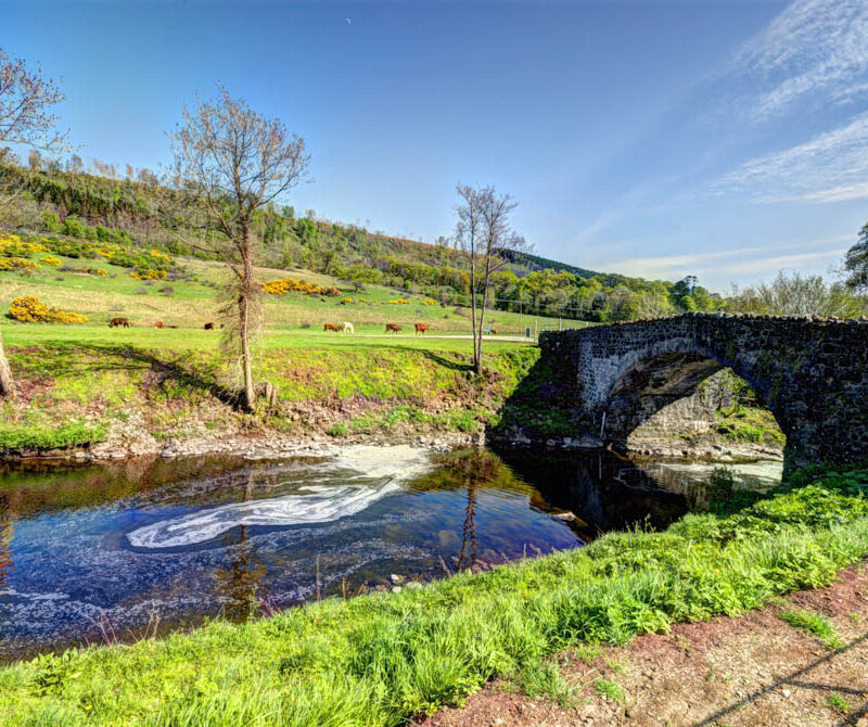 Glenarm Castle river with bridge