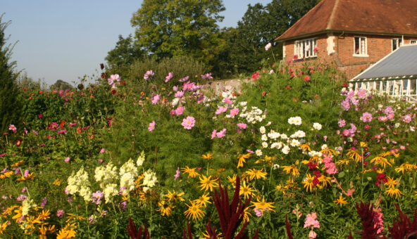 Godinton House and Garden in Ashford, Kent