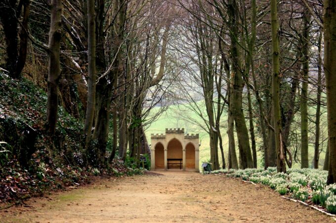 Gothic Alcove snowdrops at Painswick Rococo Garden