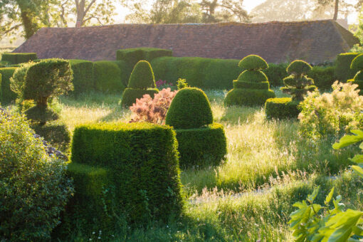 Great Dixter Garden topiary in the garden