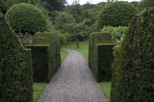 Gresgarth Hall Path and topiary