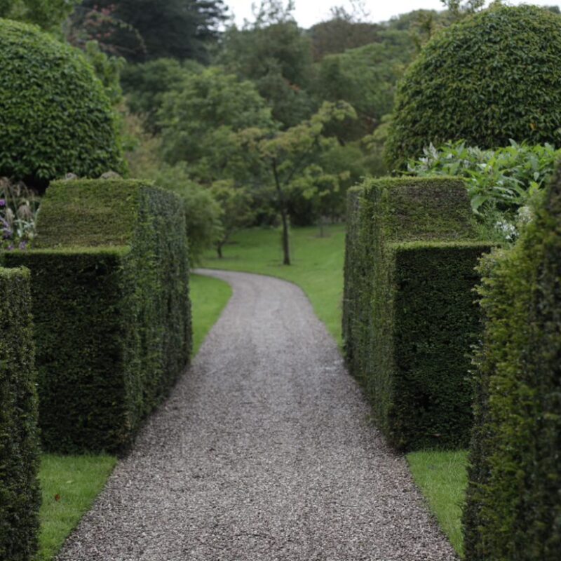 Gresgarth Hall Path and topiary