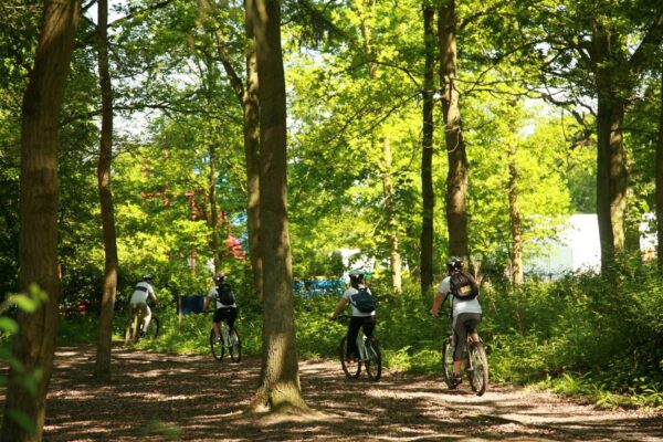 Grimsthorpe Castle bicycle ride in the forest