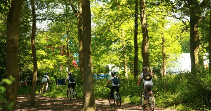 Grimsthorpe Castle bicycle ride in the forest