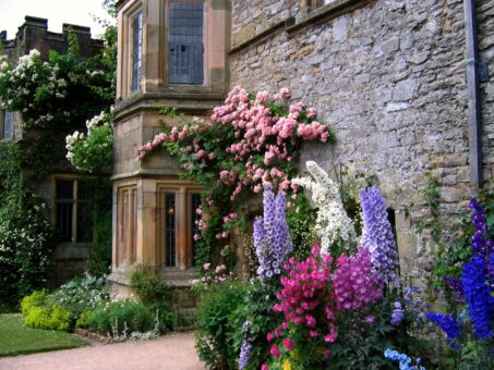 Haddon Hall garden with beautiful flowers