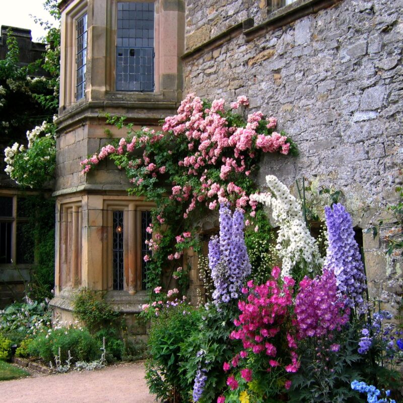 Haddon Hall garden with beautiful flowers