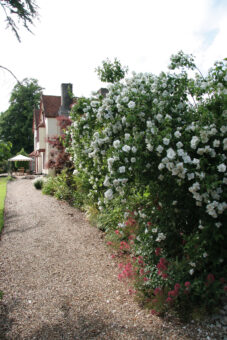 Haughley House Garden