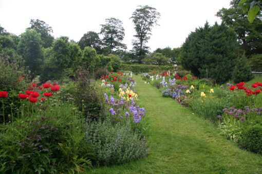 Hergest Croft Gardens herbaceous border