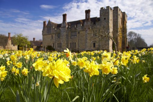 Hever Castle in Kent with daffodils