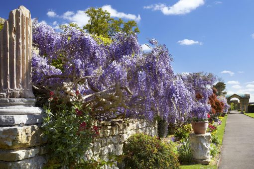 Hever Castle retains beautiful colourful gardens