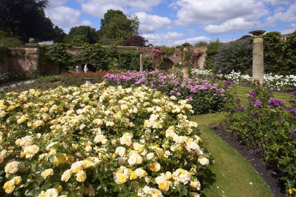 Hever Castle's glorious gardens