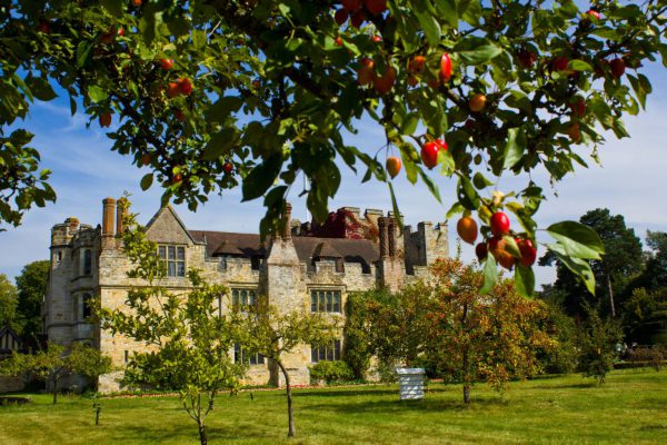 Hever Castle Orchard and Apple Tree
