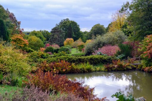 High Beeches Garden in Haywards Heath