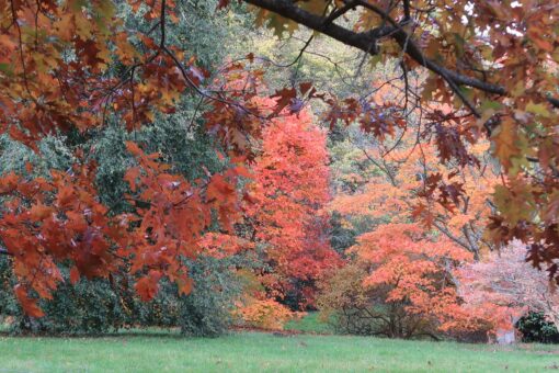 High Beeches Garden is the perfect English garden