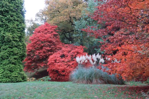 Visit High Beeches Garden in Haywards Heath