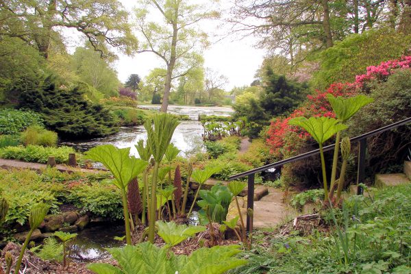 Hodnet Hall Garden in Shropshire