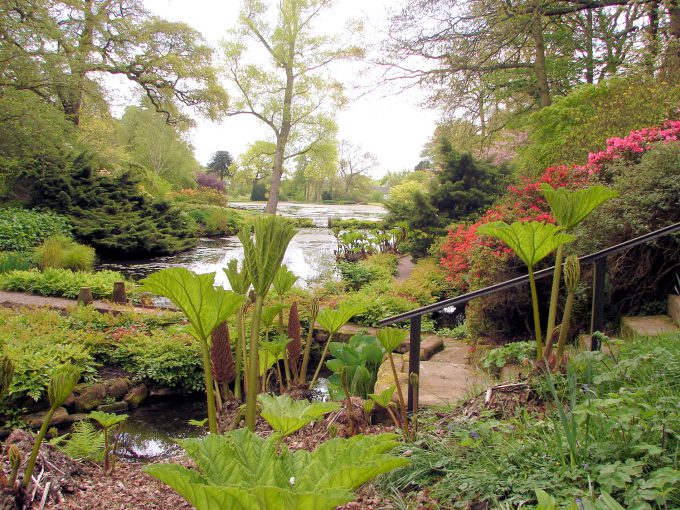 Hodnet Hall Garden in Shropshire