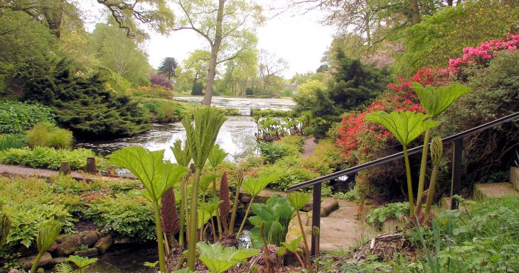 Hodnet Hall Garden in Shropshire