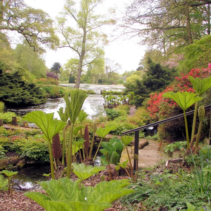 Hodnet Hall Garden in Shropshire