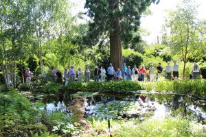 Japanese Garden with visitors