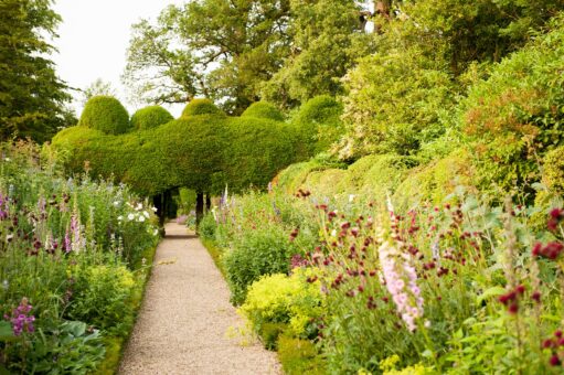 Kelmarsh Hall garden roses