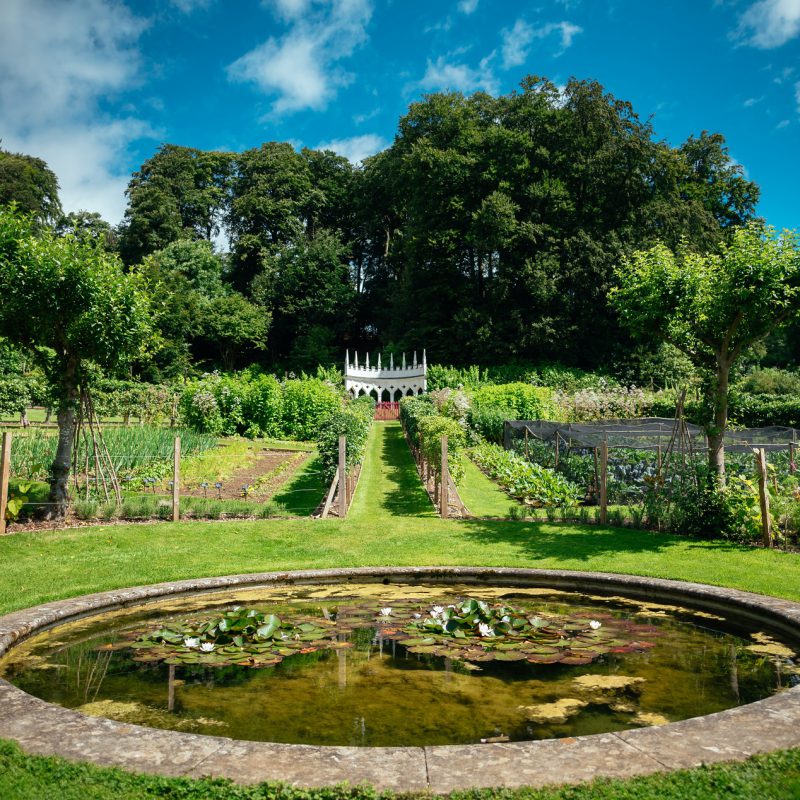 Painswick Rococo Garden in Gloucestershire