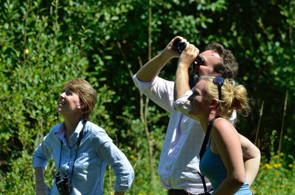 Knepp Estate bird-watching Safari