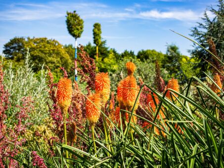 Lullingstone Castle beautiful gardens