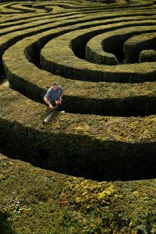 Longleat hedge maze