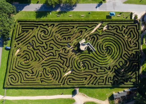 Longleat Hedge Maze