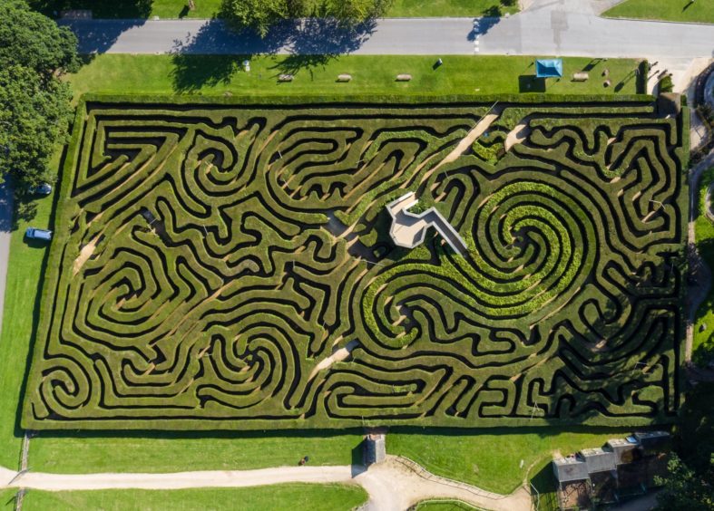 Longleat Hedge Maze