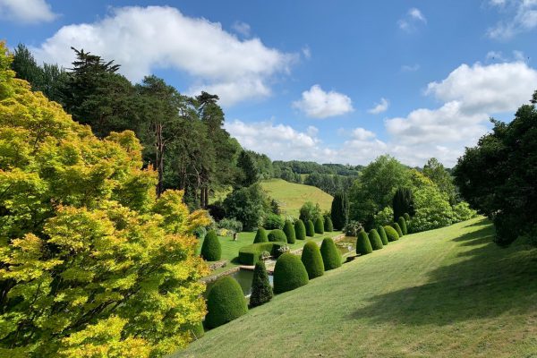 Mapperton Gardens is a glorious place to visit in Dorset