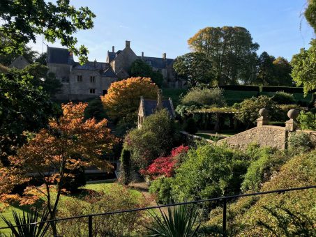 Mapperton Gardens won Garden of the Year 2020