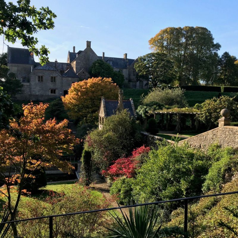 Mapperton Gardens won Garden of the Year 2020