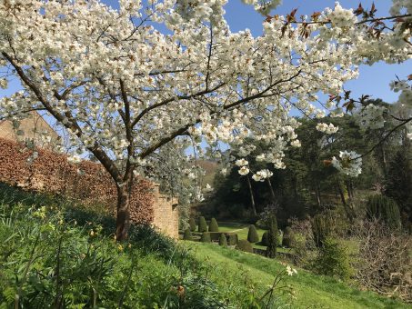 Mapperton Gardens with blossom