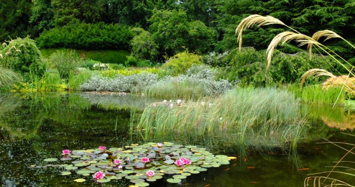 Mertoun gardens in Roxburghshire, Scotland