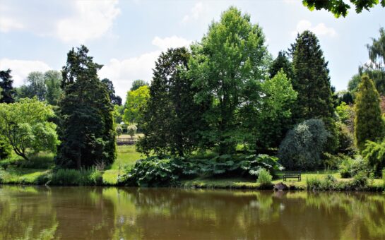 Mount Ephraim Gardens lake in Kent