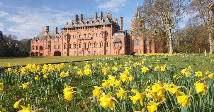 Mount Stuart in Scotland with daffodils