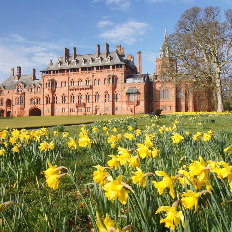 Mount Stuart in Scotland with daffodils