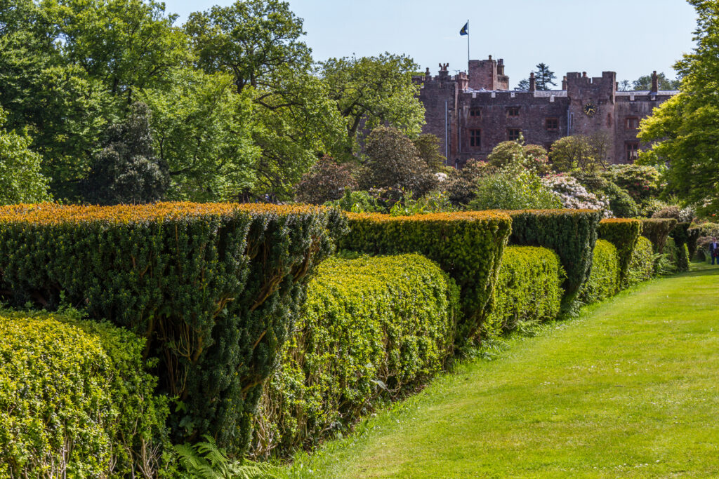 Muncaster Castle terrace