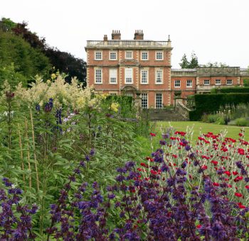 Newby Hall gardens has a range of plants