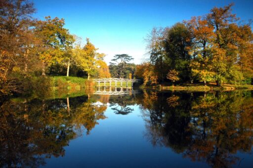 Painshill Park bridge