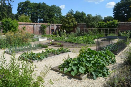 Painshill Park vegetable garden