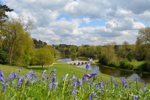 Painshill Park in Surrey