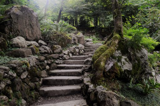 Plas Cadnant Hidden Gardens