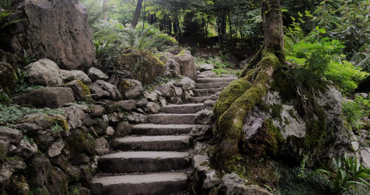 Plas Cadnant Hidden Gardens