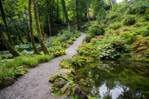 Plas Cadnant Hidden Gardens reflecting pool