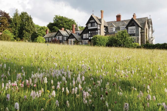 Plas Dinam Country House garden