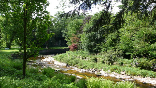 Rokeby Park grounds