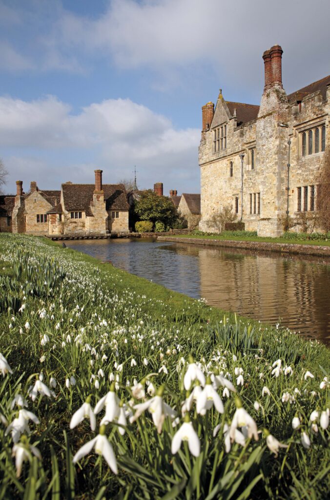 Snowdrops at Hever Castle